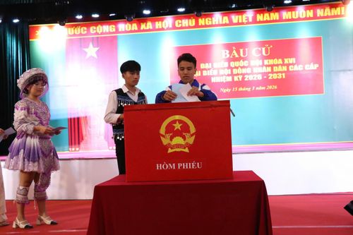 Sinh viên Đại học Thái Nguyên tích cực tham gia Ngày bầu cử