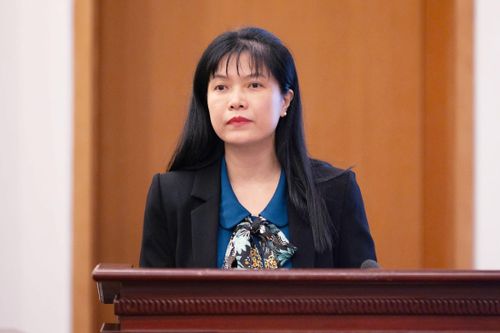 Phó Chủ nhiệm Ủy ban Công tác đại biểu, Phó Chánh văn phòng Thường trực Hội đồng Bầu cử quốc gia Tạ Thị Yên phát biểu