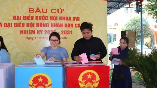Cử tri "Gen Z" hồi hộp và tự hào khi lần tham gia bầu cử