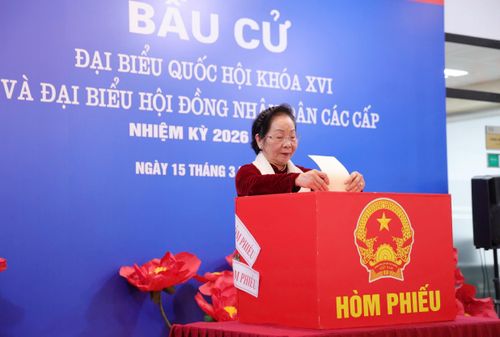 Nguyên Phó Chủ tịch nước Nguyễn Thị Doan bỏ phiếu bầu cử