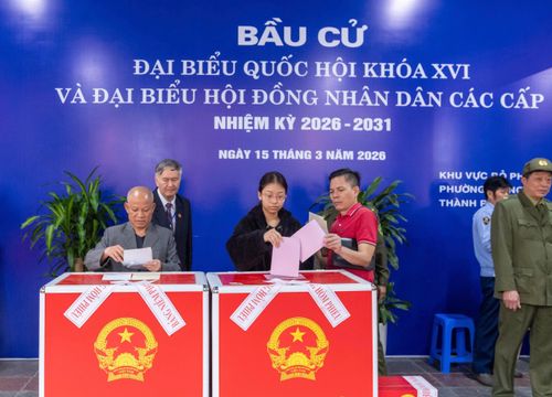 Những lá phiếu gửi gắm niềm tin và huy vọng của cử tri phường Giảng Võ nói riêng cũng như toàn bộ cử tri cả nước nói chung. Ảnh: Mạnh Hưng