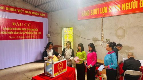 Cử tri đến sớm tham gia bầu cử