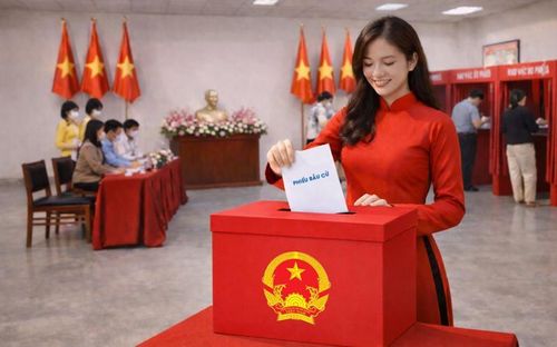 Hình minh họa. Nguồn: Internet