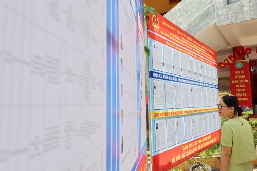 Cử tri quan tâm tiểu sử và chương trình hành động của các ứng cử viên