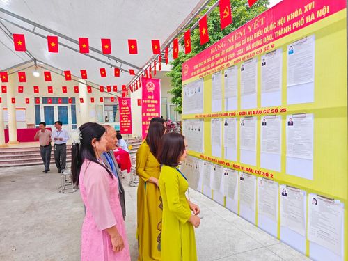 Cử tri nghiên cứu danh sách, tiểu sử các ứng cử viên trước khi bỏ phiếu.