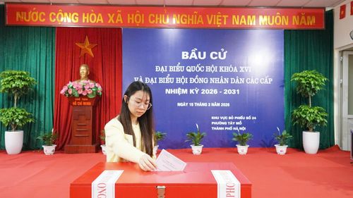 Cử tri trẻ