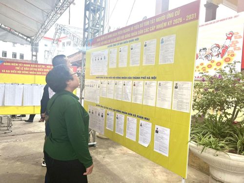 Cử tri Đoàn Thị Ngoan nghiên cứu danh sách, tiểu sử tóm tắt của các ứng cử viên trước khi tham gia bỏ phiếu.
