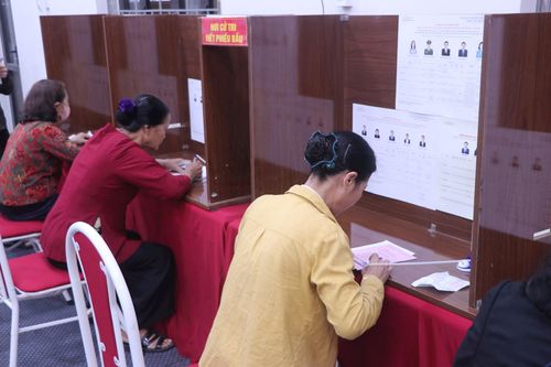 Cử tri lựa chọn đại biểu. Ảnh: Duy Linh