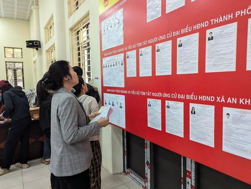 Cử tri tìm hiểu tiểu sử các ứng viên lần cuối trước khi bỏ phiếu. Ảnh: Hồng Quý