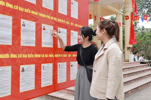 Cử tri trẻ tìm hiểu kỹ tiểu sử ứng cử viên trước khi vào bỏ phiếu. Ảnh: Nguyễn Mai