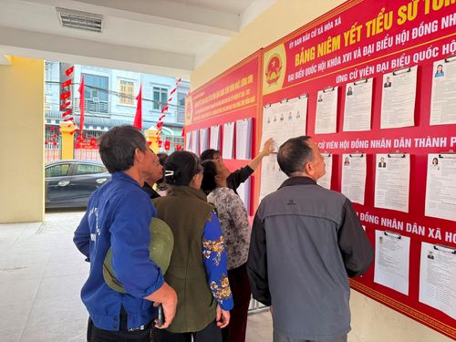 Cử tri lựa chọn kỹ các ứng cử viên trước khi bỏ phiếu. Ảnh: PV