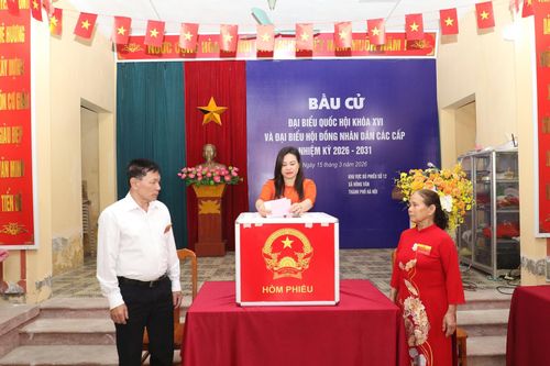 Cử tri Nguyễn Thị Bích Thủy, thôn Cơ Giáo thực hiện việc bỏ phiếu. Ảnh: Vũ Cường.