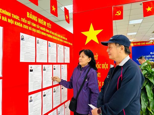 Cử tri Trần Dũng Tú và Nguyễn Thị Mộng Liên xem lại danh sách tóm tắt tiểu sử của những người ứng cử. Ảnh: Trần Oanh