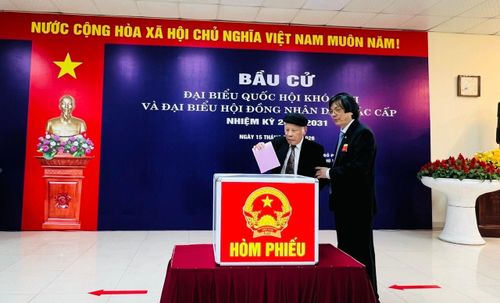 Những cử tri cao tuổi tại phường Phú Thượng thể hiện tinh thần trách nhiệm và ý thức công dân sâu sắc. Ảnh: CK