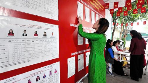 Cử tri Lê Thị Thương xem thông tin các ứng viên. Ảnh: Công Sơn