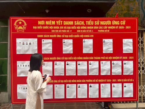 Cử tri nghiên cứu danh sách, tiểu sử người ứng cử.