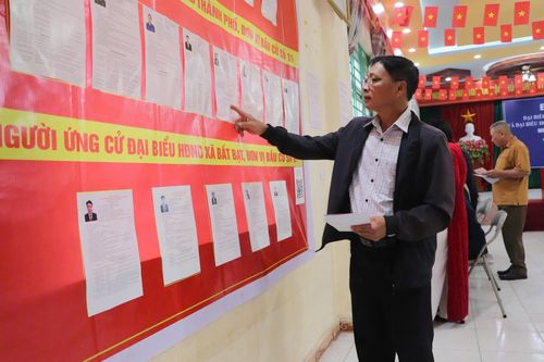 Cử tri tìm hiểu thông tin người ứng cử. Ảnh: Phương Hạnh