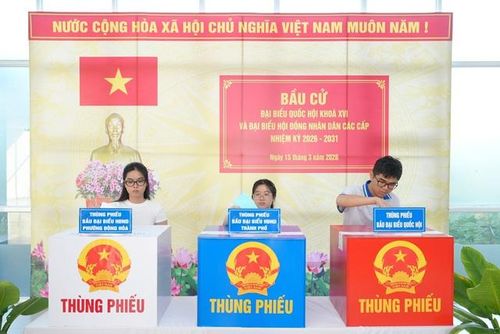 Các sinh viên hào hứng bỏ phiếu.