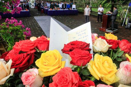  504 hoa hồng được cựu binh Mỹ gửi đến tưởng niệm vụ thảm sát Sơn Mỹ. Ảnh: NGUYỄN TRANG 