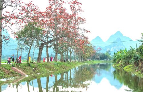 Tranh thủ dịp cuối tuần, Thu Trang (25 tuổi) cùng nhóm bạn từ nội thành Hà Nội đến đây chụp ảnh. Cô gái trẻ đặc biệt ấn tượng với vẻ đẹp yên bình và rực rỡ của đường hoa, khác biệt với nhịp sống ồn ào chốn thị thành.