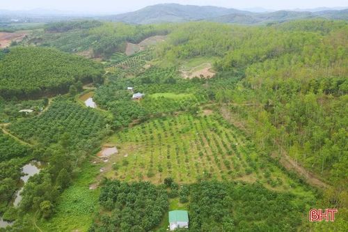 Ranh giới giữa diện tích đất người dân khai hoang và phần đất của Công ty TNHH MTV Cao su Hương Khê – Hà Tĩnh đã được phân định nhưng việc cấp "sổ đỏ" vẫn vướng mắc.
