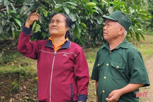 Vợ chồng ông Lê Văn Hùng – cựu chiến binh xã Hương Phố, một trong những hộ tham gia khai hoang tại tiểu khu 186 từ những năm 1980 đang mong mỏi về một chứng nhận hợp pháp cho mảnh đất đã dày công xây dựng.