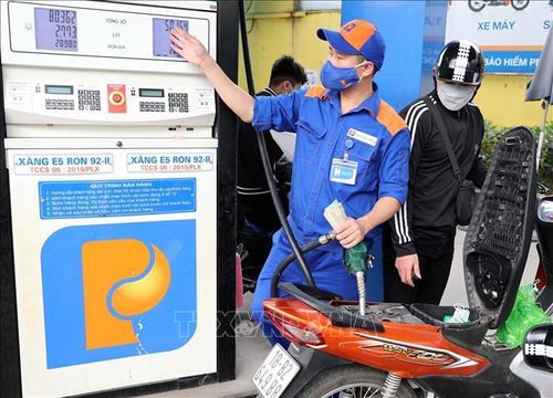 Theo lộ trình, từ 1/6/2026, xăng sinh học E5, E10 sẽ được thay thế xăng khoáng. Ảnh: Trần Việt/TTXVN