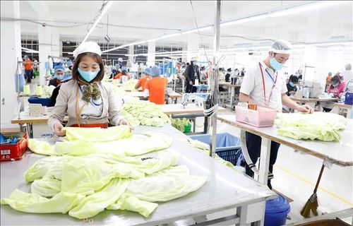 May hàng xuất khẩu sang thị trường Nhật Bản tại Công ty May Hưng Việt, Hưng Yên. Ảnh: Trần Việt/TTXVN