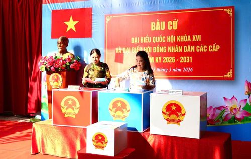 Theo đánh giá của Ủy ban bầu cử TPHCM, Nhân dân Thành phố rất phấn khởi thực hiện quyền bầu cử của mình; tỷ lệ cử tri đi bỏ phiếu rất cao, đảm bảo các mục tiêu đề ra