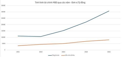 Tình hình tài chính MBS - Đồ họa N.N tổng hợp từ BCTC
