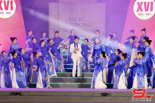 Em đi bầu cử. 