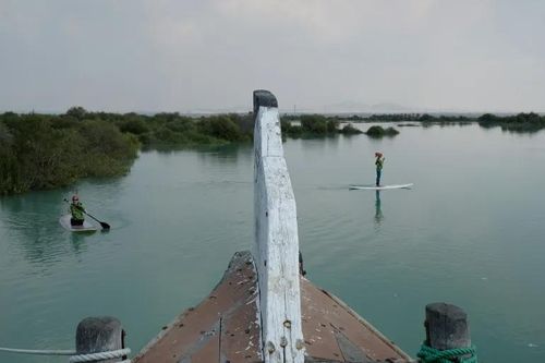 Hai phụ nữ chèo ván đứng trên làn nước yên tĩnh giữa rừng ngập mặn Hara, đảo Qeshm. Ảnh tư liệu: Getty Images
