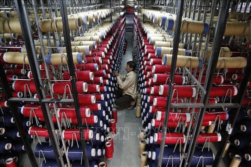 Công nhân kiểm tra các ống sợi trên máy dệt thảm tại một nhà máy ở ngoại ô Jammu, Ấn Độ. Ảnh tư liệu: AFP/TTXVN