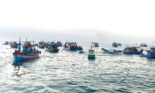 Để bảo vệ hiệu quả nguồn lợi thủy sản cần triển khai đồng bộ việc khai thác hợp lý tiềm năng biển và bảo đảm khả năng tái tạo, phục hồi nguồn lợi. Ảnh: N.N