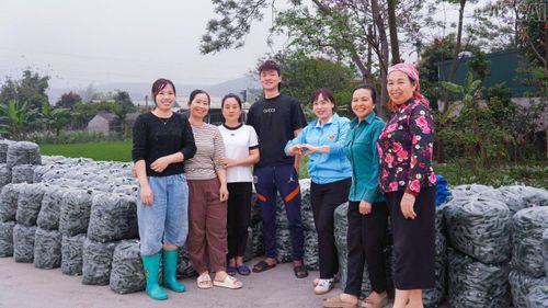 Niềm vui từ những mùa ớt xanh đang mở ra triển vọng nâng cao thu nhập cho nông dân phường Cầu Thia.