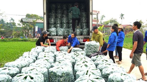 Nông dân tập kết ớt tại điểm thu mua để doanh nghiệp đến cân và thu mua đồng loạt.