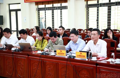 Các đại biểu dự buổi làm việc.
