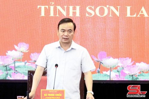 Đồng chí Phó Chủ tịch Thường trực UBND tỉnh phát biểu tại cuộc làm việc. 