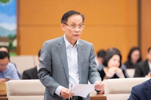 Ủy viên Bộ Chính trị, Bộ trưởng Bộ Ngoại giao Lê Hoài Trung báo cáo tại phiên họp