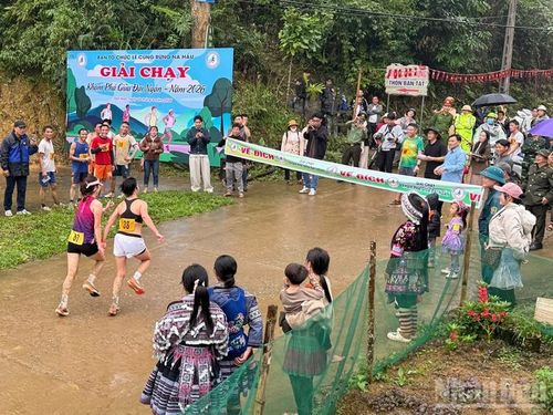 Giải việt dã Khám phá giữa đại ngàn thu hút nhiều vận động viên nam nữ trong khu vực tham gia.