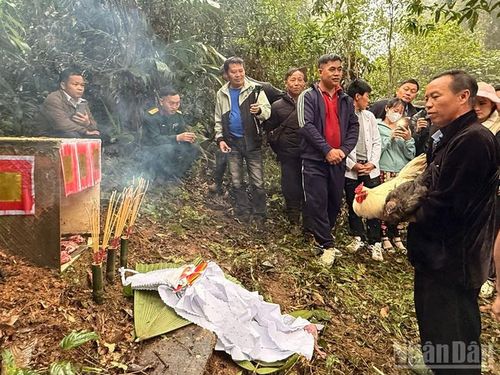 Đôi gà trống lông trắng, lông đen được dâng lên thần rừng.
