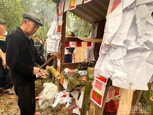Thầy cúng Sùng A Sềnh làm chủ lễ cúng thần rừng.