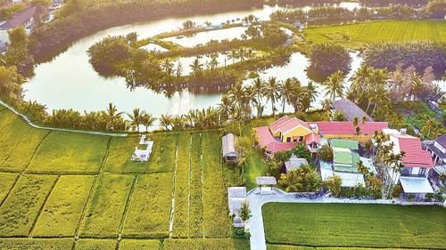  Tour bán trải nghiệm ẩm thực-văn hóa trọn gói trên cánh đồng tại nhà hàng The Field, xã Cẩm Thanh, thành phố Hội An. 