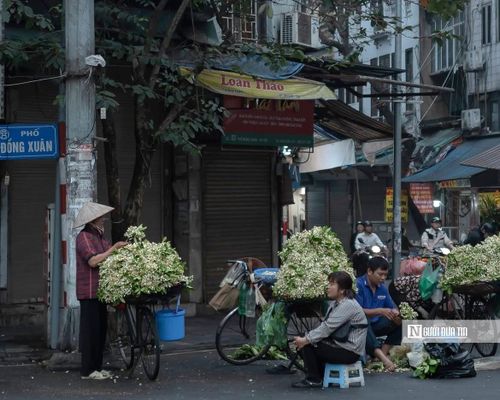 Với nhiều người Hà Nội, hoa bưởi không chỉ là một loài hoa theo mùa mà còn là ký ức. Đó có thể là mùi hương quen thuộc trong sân nhà ngày nhỏ, là những buổi chiều theo mẹ ra chợ mua vài chùm hoa bưởi về ướp trà, hay là góc phố nơi gánh hàng rong dừng lại mỗi năm một lần khi mùa hoa trở lại.