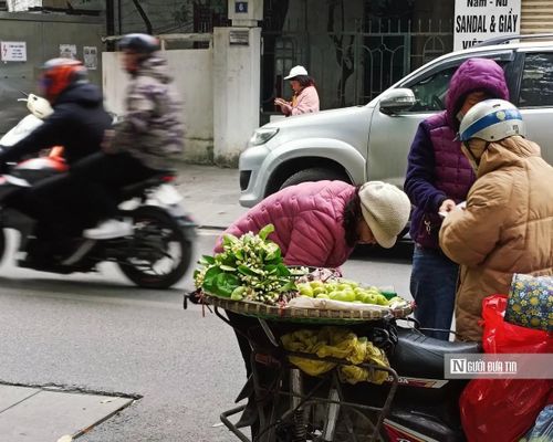 Hoa bưởi theo chân người bán rong len vào từng con phố Hà Nội, nhẹ nhàng mà bền bỉ như chính nhịp sống của thành phố này. Từ những con ngõ nhỏ yên tĩnh đến các tuyến phố đông đúc, hương hoa cứ thế lan tỏa, thoảng qua rồi vương lại, khiến người đi đường đôi khi bất chợt chậm bước.