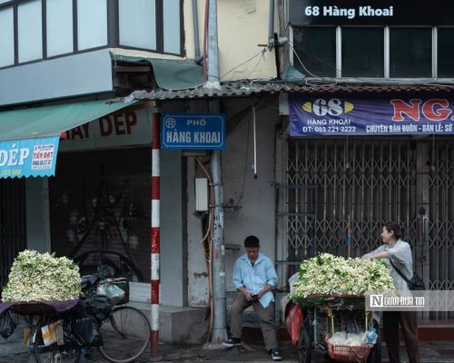 Trong nhịp sống đô thị ngày càng hối hả, những gánh hoa bưởi dường như mang theo một nhịp chậm hiếm hoi.