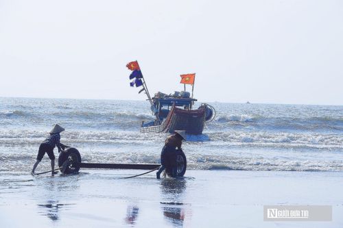 Những chuyến thuyền sử dụng nhiên liệu chính là xăng, dầu, giá nhiên liệu tăng gây áp lực chi phí cho ngư dân.