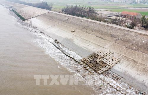 Các vị trí sạt sập tại tuyến kè Hải Thịnh 3 được gia cố bằng đá hộc và cấu kiện bê tông. Ảnh: Công Luật - TTXVN