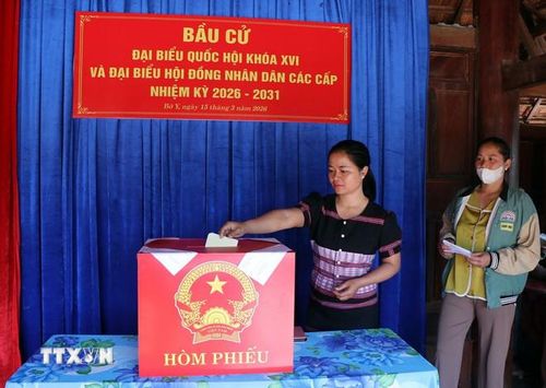  Người Brâu, một trong những dân tộc ít người nhất ở Việt Nam đến khu vực bỏ phiếu số 25 thôn Đăk Mế, xã Bờ Y, tỉnh Quảng Ngãi để bỏ phiếu. (Ảnh: Cao Nguyên/TTXVN) 