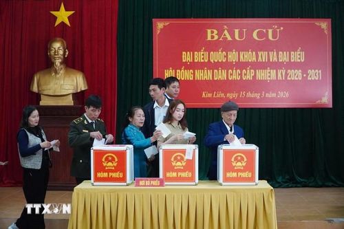  Cử tri xã Kim Liên bỏ phiếu bầu cử các đại biểu Quốc hội và HĐND các cấp. (Ảnh: Trịnh Duy Hưng/TTXVN) 